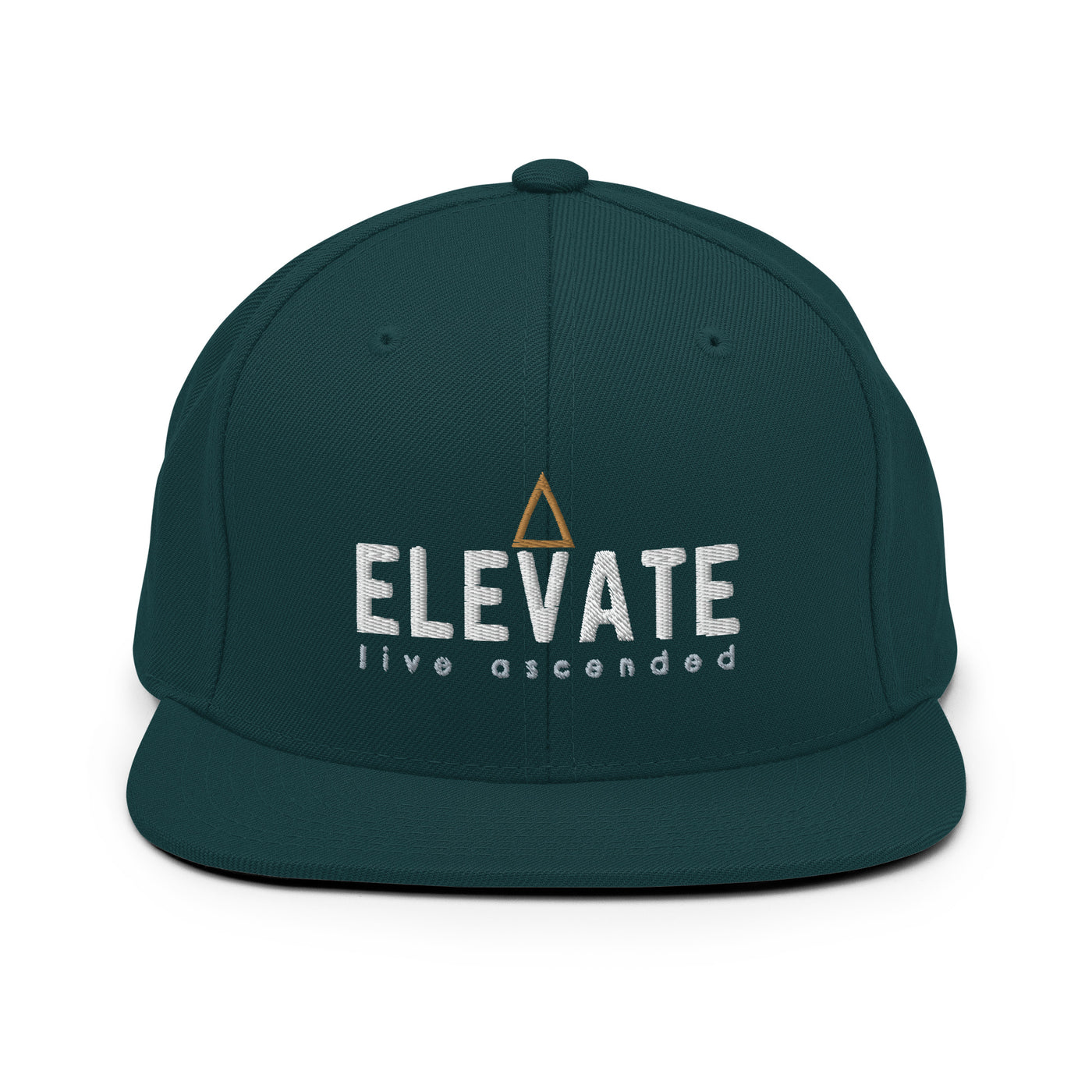 Live Ascended Snapback Hat