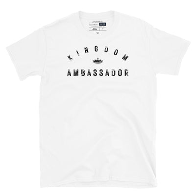 Kingdom Ambassador (Adult)